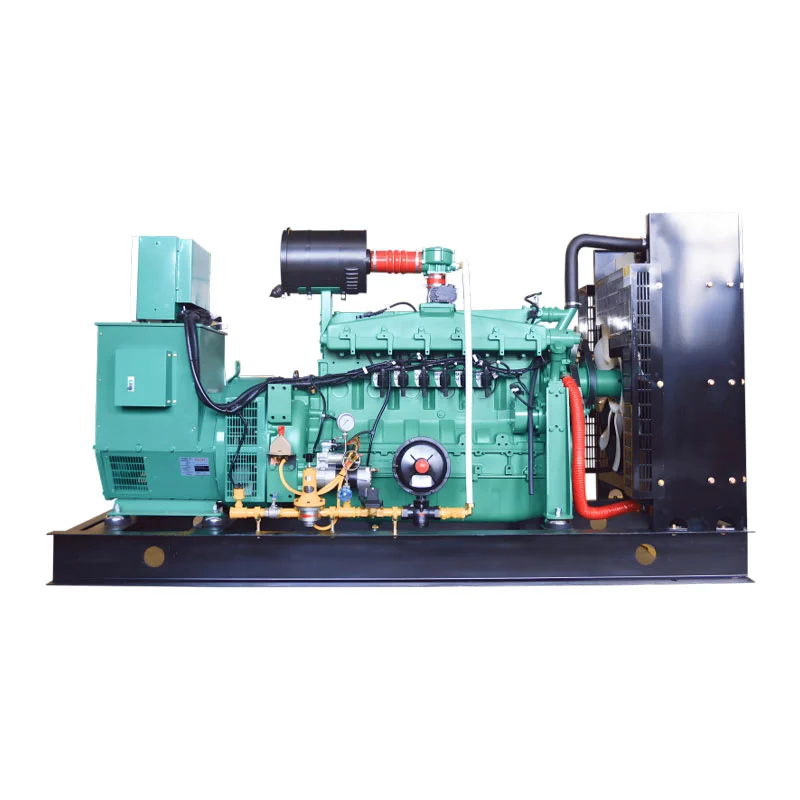 Large Gas generator Large Gas generator